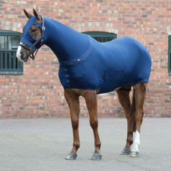 Capa WeatherBeeta Stretch