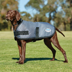 Casaco para cão WeatherBeeta ComFiTec Classic Casaco para cão WeatherBeeta ComFiTec Classic
