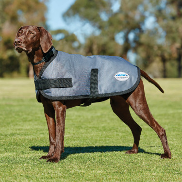 Casaco para cão WeatherBeeta ComFiTec Classic Casaco para cão WeatherBeeta ComFiTec Classic
