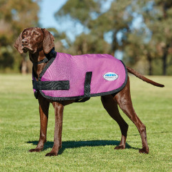 Casaco para cão WeatherBeeta ComFiTec Classic Casaco para cão WeatherBeeta ComFiTec Classic