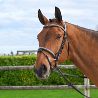 Bridão Clincher Jump'In One Premium Preto Bridão Clincher Jump'In One Premium Preto