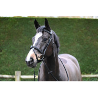 Filete Jump'In Crystal focinheira combinada Week Preto