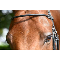 Frontal Monday Jump'In Havana Castanho