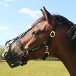 Cesto Greenguard Preto Cesto Greenguard Preto