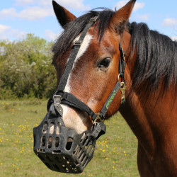 Cesto Greenguard Preto Cesto Greenguard Preto