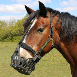 Cesto Greenguard Preto Cesto Greenguard Preto