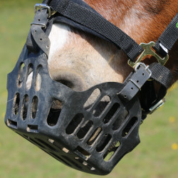 Cesto Greenguard Preto Cesto Greenguard Preto