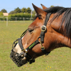 Cesto Greenguard Preto Cesto Greenguard Preto