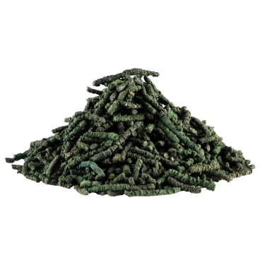 Espaguete de spirulina Horse Master Espaguete de spirulina Horse Master