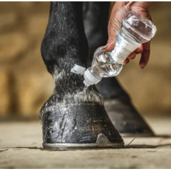 Óleo para cascos Carr & Day & Martin Daily Hoof Barrier Cornucrescine Óleo para cascos Carr & Day & Martin Daily Hoof Barrier Cornucrescine