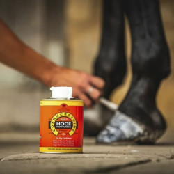 Óleo para cascos Carr & Day & Martin Daily Hoof Moisturiser Cornucrescine Óleo para cascos Carr & Day & Martin Daily Hoof Moisturiser Cornucrescine