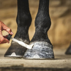 Óleo para cascos Carr & Day & Martin Daily Hoof Moisturiser Cornucrescine Óleo para cascos Carr & Day & Martin Daily Hoof Moisturiser Cornucrescine