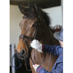 Luvas de limpeza Belvoir® Carr & Day & Martin Tack Cleaner Luvas de limpeza Belvoir® Carr & Day & Martin Tack Cleaner