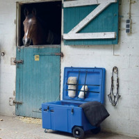 Baú horizontal com rodas La Gée Azul