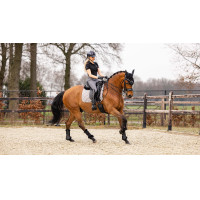 Tapete de adestramento LeMieux - algodão Branco Tapete de adestramento LeMieux - algodão Branco