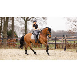 Tapete de adestramento LeMieux - algodão Cinzento