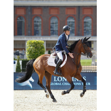 Tapete LeMieux Eurojump Camurça Branco / Prata / Branco