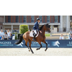 Tapete LeMieux Eurojump Camurça Branco / Prata / Branco