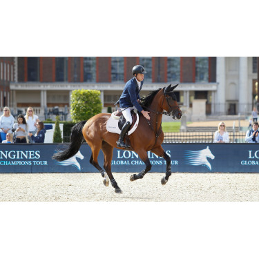 Tapete LeMieux Eurojump Camurça Branco / Prata / Branco