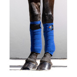 Bandagens de polo LeMieux Luxury Azul Benetton