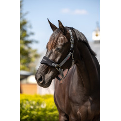 Cabresto e guia Lemieux Vogue Preto / cinza Cinzento