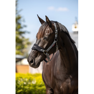 Cabresto e guia Lemieux Vogue Preto / cinza Cinzento