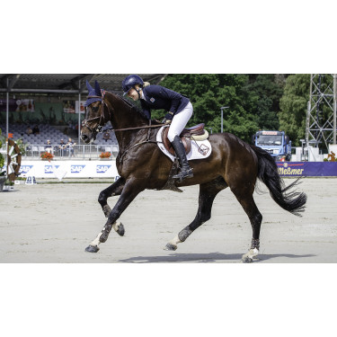 Tapete LeMieux Prosport close contact square - algodão Branco Tapete LeMieux Prosport close contact square - algodão Branco