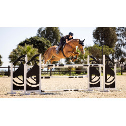 Tapete LeMieux Eurojump Camurça Cinzento Tapete LeMieux Eurojump Camurça Cinzento