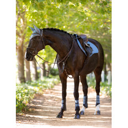 Guêtres LeMieux Grafter Ice blue modelo antigo Azul Guêtres LeMieux Grafter Ice blue modelo antigo Azul