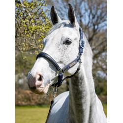 Caveção Capella LeMieux Azul-marinho Caveção Capella LeMieux Azul-marinho