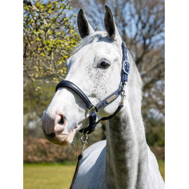 Caveção Capella LeMieux Azul-marinho Caveção Capella LeMieux Azul-marinho