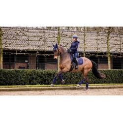 Tapete LeMieux Loire Classic Dressage Square Azul-marinho