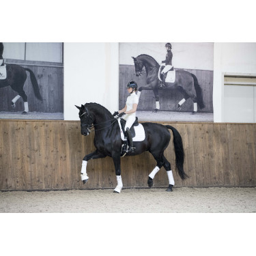 Tapete LeMieux Loire Classic Dressage Square Tapete LeMieux Loire Classic Dressage Square