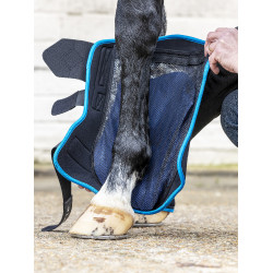 Guêtres refroidissantes ProIce LeMieux Guêtres refroidissantes ProIce LeMieux