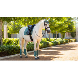 Bandagens de polo LeMieux Luxury Sábio Azul Bandagens de polo LeMieux Luxury Sábio Azul