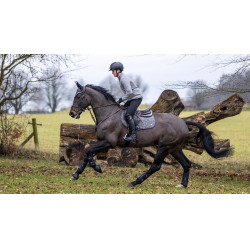 Tapete LeMieux Self-Cool Close Contact Square Cinzento