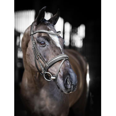 Bridão de dressage LeMieux Arika Bridão de dressage LeMieux Arika