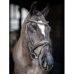 Bridão de dressage LeMieux Arika Preto / prata Bridão de dressage LeMieux Arika Preto / prata