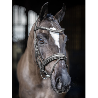 Bridão de dressage LeMieux Arika Bridão de dressage LeMieux Arika