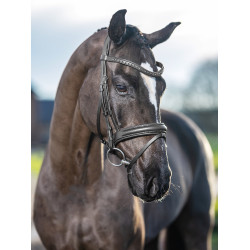 Bridão de dressage LeMieux Arika Preto / prata Bridão de dressage LeMieux Arika Preto / prata