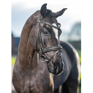 Bridão de dressage LeMieux Arika Bridão de dressage LeMieux Arika