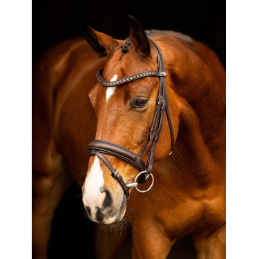 Bridão de dressage LeMieux Arika Castanho / prateado
