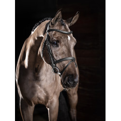 Bridon LeMieux Arika focinheira combinada Preto / prata Bridon LeMieux Arika focinheira combinada Preto / prata