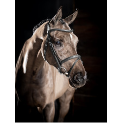 Bridon LeMieux Arika focinheira combinada Preto / prata Bridon LeMieux Arika focinheira combinada Preto / prata