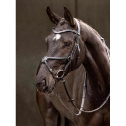 Bridão LeMieux Arika focinheira cruzada Preto / prata Bridão LeMieux Arika focinheira cruzada Preto / prata