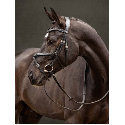 Bridão LeMieux Arika focinheira cruzada Preto / prata Bridão LeMieux Arika focinheira cruzada Preto / prata