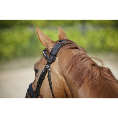 Protetor de nuca com velcro Back On Track Protetor de nuca com velcro Back On Track