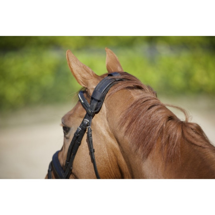 Protetor de nuca com velcro Back On Track Protetor de nuca com velcro Back On Track