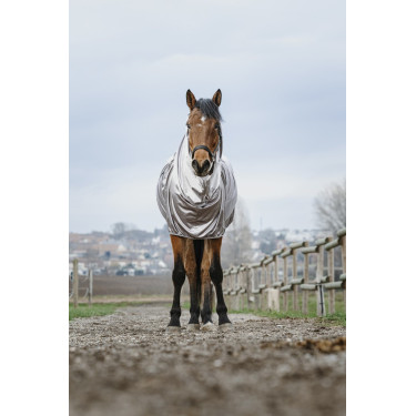 Camisa anti-eczema Riding World Camisa anti-eczema Riding World