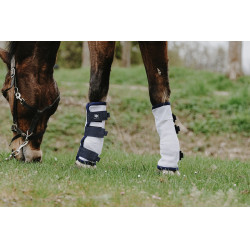 Polainas anti-moscas Riding World em conjunto de 4